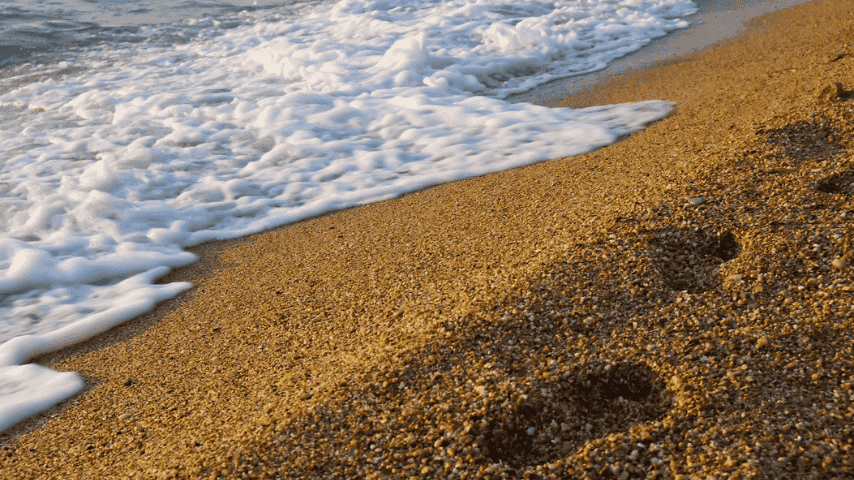 Footprints in the sand beside the shoreline, with waves washing towards them, symbolising the risk of taking steps backwards on autism acceptance and inclusion.